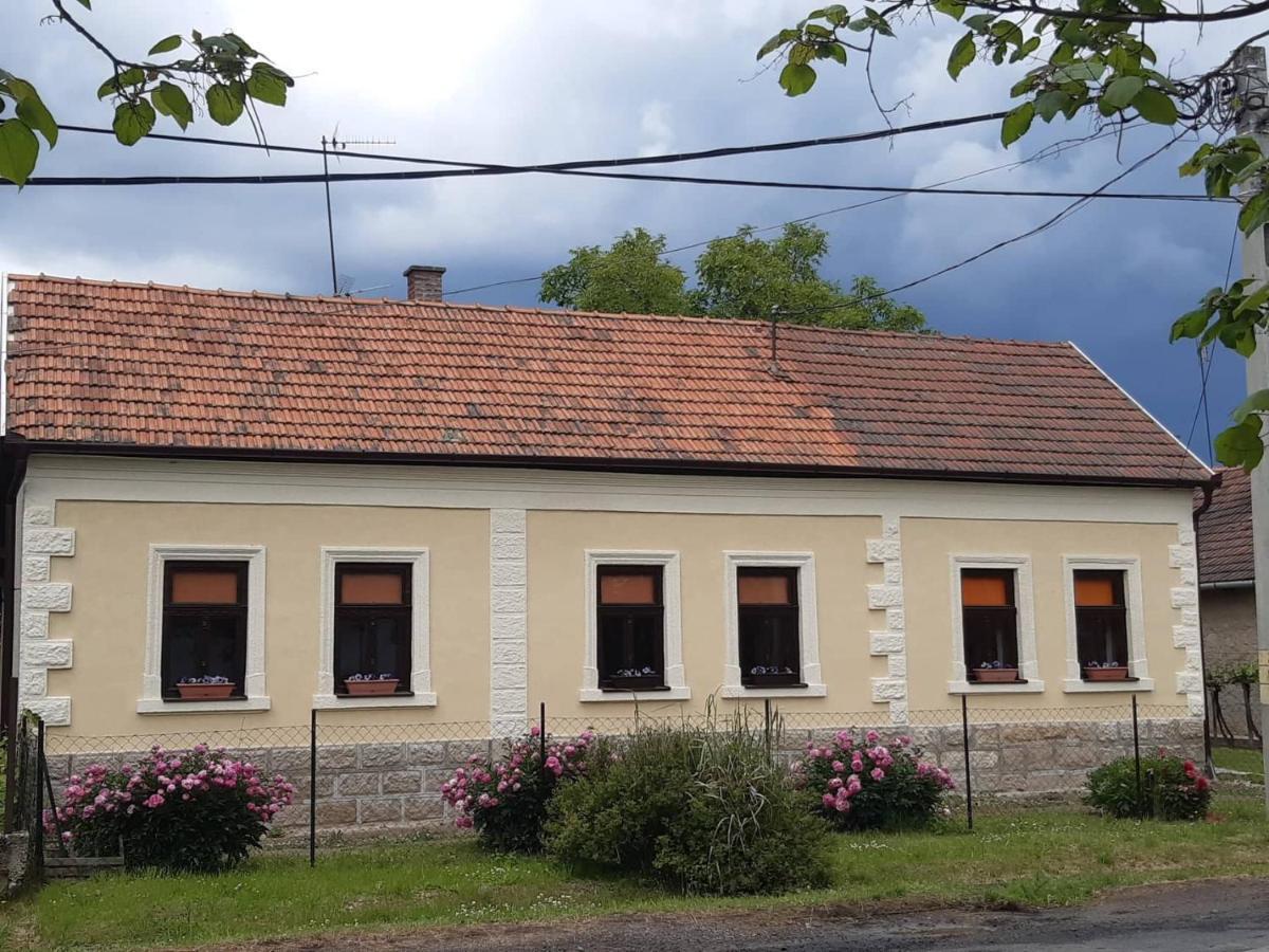 Szőlőskert Vendégház, Erdőbénye Esterno foto